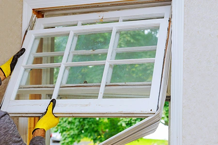 Window Replacement in Davie, FL